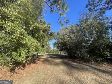 Build your dream home in the highly sought-after gated community on The Club At Osprey Cove in Georgia - for sale on GolfHomes.com, golf home, golf lot