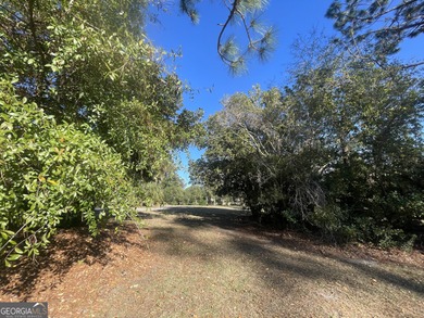 Build your dream home in the highly sought-after gated community on The Club At Osprey Cove in Georgia - for sale on GolfHomes.com, golf home, golf lot