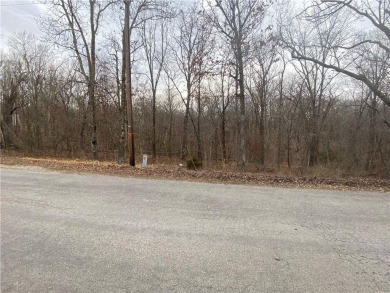 Looking for an affordable area with beauty, serenity, & so much on Bella Vista Country Club - Berksdale in Arkansas - for sale on GolfHomes.com, golf home, golf lot