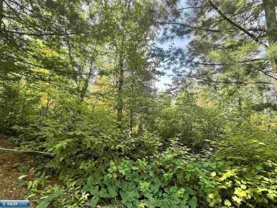 Nicely wooded 3-acre lot on dead-end private roadway with 150 on The Wilderness At Fortune Bay in Minnesota - for sale on GolfHomes.com, golf home, golf lot