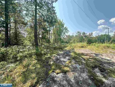 Nicely wooded 3-acre lot on dead-end private roadway with 150 on The Wilderness At Fortune Bay in Minnesota - for sale on GolfHomes.com, golf home, golf lot