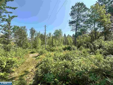 Nicely wooded 3-acre lot on dead-end private roadway with 150 on The Wilderness At Fortune Bay in Minnesota - for sale on GolfHomes.com, golf home, golf lot