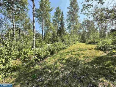 Nicely wooded 3-acre lot on dead-end private roadway with 150 on The Wilderness At Fortune Bay in Minnesota - for sale on GolfHomes.com, golf home, golf lot