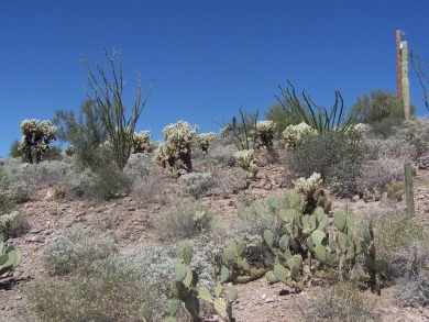 Great Building lot. Backs up to Queen Valley Golf course. Over on Queen Valley Golf Course in Arizona - for sale on GolfHomes.com, golf home, golf lot