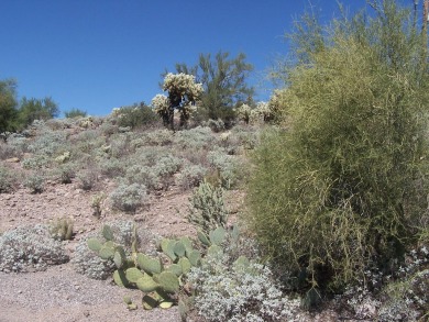 Great Building lot. Backs up to Queen Valley Golf course. Over on Queen Valley Golf Course in Arizona - for sale on GolfHomes.com, golf home, golf lot