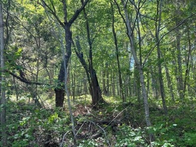 This 0.34 acre lot sits in a secluded area of Thunderbird Drive on Holiday Island Golf Course in Arkansas - for sale on GolfHomes.com, golf home, golf lot