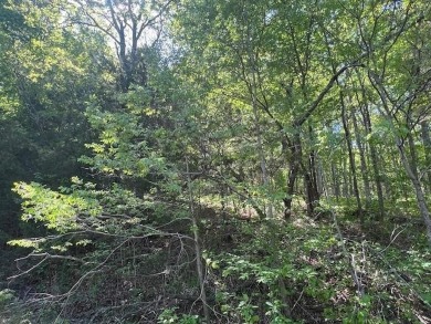 This 0.34 acre lot sits in a secluded area of Thunderbird Drive on Holiday Island Golf Course in Arkansas - for sale on GolfHomes.com, golf home, golf lot