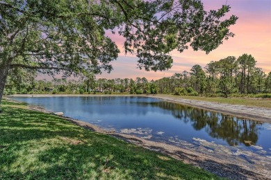 Hunter's Green.....pletely renovated and maintenance free Villa on Hunters Green Country Club in Florida - for sale on GolfHomes.com, golf home, golf lot