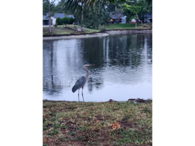 Experience peaceful pond-side living with stunning sunset views on Beacon Woods Golf Club in Florida - for sale on GolfHomes.com, golf home, golf lot