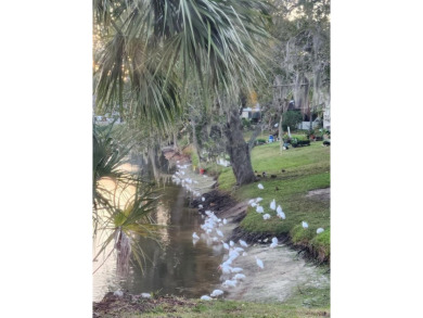 Experience peaceful pond-side living with stunning sunset views on Beacon Woods Golf Club in Florida - for sale on GolfHomes.com, golf home, golf lot