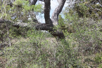 This exceptional lot offers an incredible opportunity to build on Vaaler Creek Golf Club in Texas - for sale on GolfHomes.com, golf home, golf lot