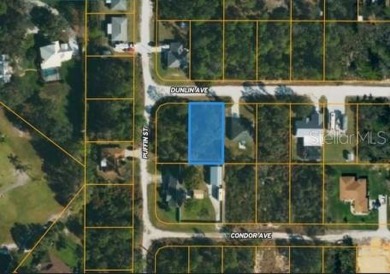 Discover this 0.23 Acre gem nestled in Sebring, FL, just an on Golf Hammock Country Club in Florida - for sale on GolfHomes.com, golf home, golf lot