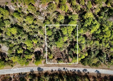 Discover a rare and affordable land opportunity in North Port's on Bobcat Trail Golf Club in Florida - for sale on GolfHomes.com, golf home, golf lot