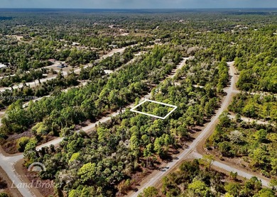 Discover a rare and affordable land opportunity in North Port's on Bobcat Trail Golf Club in Florida - for sale on GolfHomes.com, golf home, golf lot