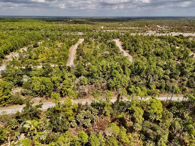 Discover a rare and affordable land opportunity in North Port's on Bobcat Trail Golf Club in Florida - for sale on GolfHomes.com, golf home, golf lot