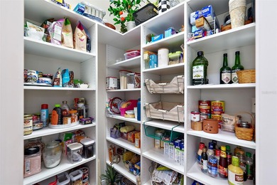 4/3 Custom Former Model Home in Harbor Hills Golf & CC(R), Lady on Harbor Hills Country Club in Florida - for sale on GolfHomes.com, golf home, golf lot