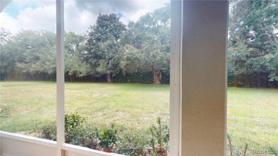 Welcome to this beautifully upgraded 2-bedroom + den, 2-bath on Skyview At Terra Vista Golf and Country Club in Florida - for sale on GolfHomes.com, golf home, golf lot