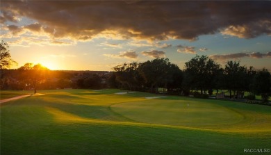 Welcome to this beautifully upgraded 2-bedroom + den, 2-bath on Skyview At Terra Vista Golf and Country Club in Florida - for sale on GolfHomes.com, golf home, golf lot