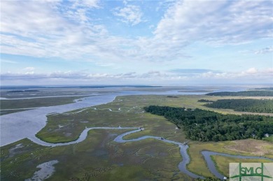 Welcome to Georgia's magnificent coastal river  marsh on Sapelo Hammock Golf Club in Georgia - for sale on GolfHomes.com, golf home, golf lot