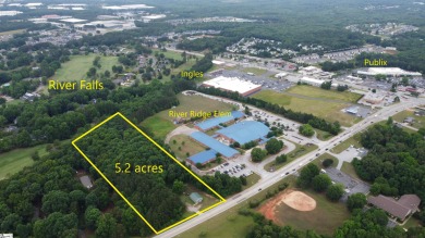 5.2 level acres close to the intersection of Hwy 290 and 296 in on River Falls Plantation in South Carolina - for sale on GolfHomes.com, golf home, golf lot
