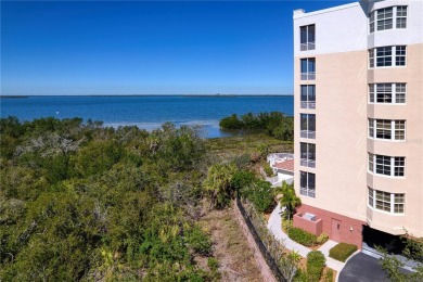 Discover your coastal retreat! This updated 3-bedroom, 2.5-bath on Terra Ceia Golf and Country Club in Florida - for sale on GolfHomes.com, golf home, golf lot