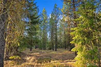 Experience the art of semi-custom mountain living in the private on Suncadia Resort in Washington - for sale on GolfHomes.com, golf home, golf lot