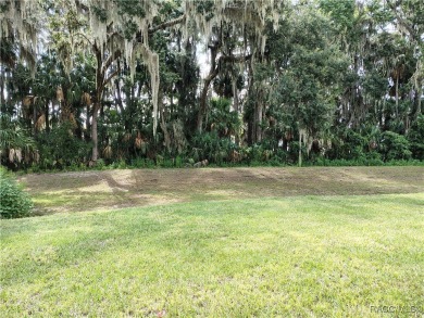 The Oasis House - Located in * The Premier Gated, Lakeside on Inverness Golf and Country Club in Florida - for sale on GolfHomes.com, golf home, golf lot