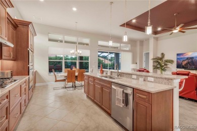 ELEGANCE AND STYLE await you in this nearly-new home. Built in on Skyview At Terra Vista Golf and Country Club in Florida - for sale on GolfHomes.com, golf home, golf lot