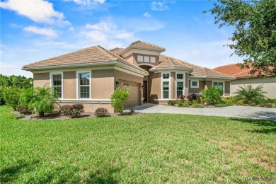 ELEGANCE AND STYLE await you in this nearly-new home. Built in on Skyview At Terra Vista Golf and Country Club in Florida - for sale on GolfHomes.com, golf home, golf lot