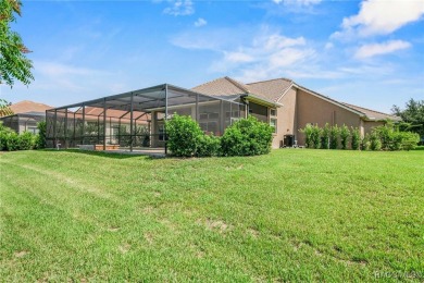 ELEGANCE AND STYLE await you in this nearly-new home. Built in on Skyview At Terra Vista Golf and Country Club in Florida - for sale on GolfHomes.com, golf home, golf lot