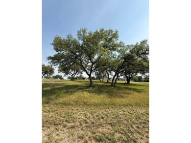 Choice, easily buildable golf course lot in Barton Creek on Palmer Lakeside At Barton Creek in Texas - for sale on GolfHomes.com, golf home, golf lot