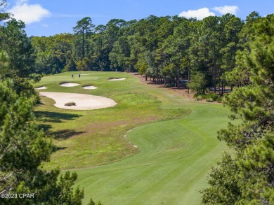 This prime golf course lot in Wild Heron is the perfect location on Sharks Tooth Golf Club in Florida - for sale on GolfHomes.com, golf home, golf lot