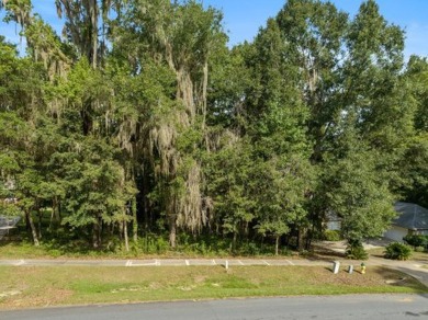 One and a half acre lot with a gorgeous view down the 16th par 4 on The Golf Club At Summerbrooke in Florida - for sale on GolfHomes.com, golf home, golf lot