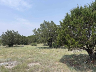 This beautiful, level lot offers the perfect canvas to build on Slick Rock Golf Course - Horseshoe Bay in Texas - for sale on GolfHomes.com, golf home, golf lot