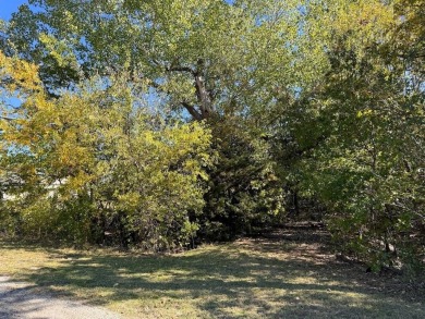 Vacant lot backs to Bridgeport Lake in the community of Runaway on The Club At Runaway Bay in Texas - for sale on GolfHomes.com, golf home, golf lot