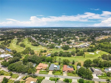 ATTENTION!!!!  The last one on the GOLF COURSE was GONE IN LESS on Countryside Country Club in Florida - for sale on GolfHomes.com, golf home, golf lot
