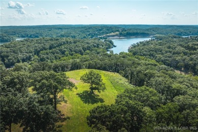 A 263-acre waterfront property with a three-slip dock, located on Bayview Golf Course in Missouri - for sale on GolfHomes.com, golf home, golf lot