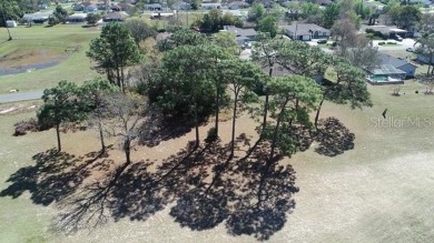 Beautiful Building Lot for your custom home- Oak Hill Golf on Oak Hills Country Club in Florida - for sale on GolfHomes.com, golf home, golf lot