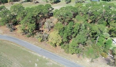 Beautiful Building Lot for your custom home- Oak Hill Golf on Oak Hills Country Club in Florida - for sale on GolfHomes.com, golf home, golf lot