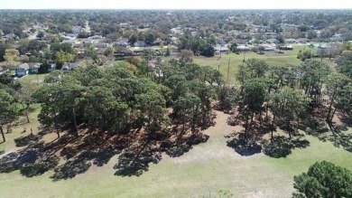Beautiful Building Lot for your custom home- Oak Hill Golf on Oak Hills Country Club in Florida - for sale on GolfHomes.com, golf home, golf lot