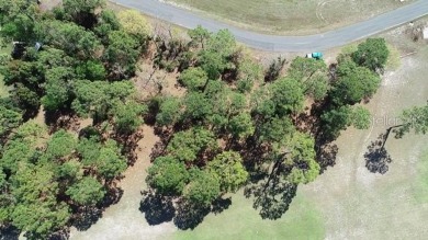 Beautiful Building Lot for your custom home- Oak Hill Golf on Oak Hills Country Club in Florida - for sale on GolfHomes.com, golf home, golf lot