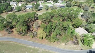 Beautiful Building Lot for your custom home- Oak Hill Golf on Oak Hills Country Club in Florida - for sale on GolfHomes.com, golf home, golf lot