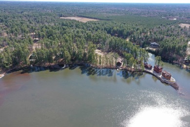 Lot 16, a buildable wooded lot on Nepco Lake, Central Wis. Build on The Ridges Golf Club in Wisconsin - for sale on GolfHomes.com, golf home, golf lot