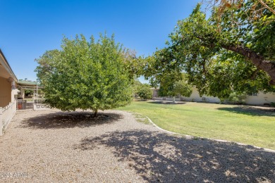 Beautifully Updated Home in a Serene Golf Community! This 2 on Sun City Lakes West and East in Arizona - for sale on GolfHomes.com, golf home, golf lot