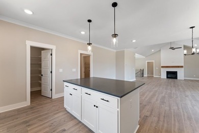 Live the lake life in this NEW Craftsman home in The Plantation on The Patriot Golf Club At Grand Harbor in South Carolina - for sale on GolfHomes.com, golf home, golf lot