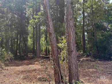 Build your dream home in the desirable subdivision of Polo Ridge on Lakewood Golf Club in Alabama - for sale on GolfHomes.com, golf home, golf lot