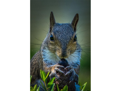 EXQUISITE Lakefront 55+ Residence | 2 Bed | 2 Bath | Private on Country Club At Silver Springs Shores in Florida - for sale on GolfHomes.com, golf home, golf lot