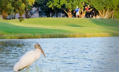 Beautifully Renovated 2-Bedroom Condo with Pool View - Century on Flamingo Lakes Country Club in Florida - for sale on GolfHomes.com, golf home, golf lot