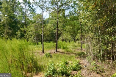 Nice basement site with a private backyard and flowing stream on Coweta Club in Georgia - for sale on GolfHomes.com, golf home, golf lot