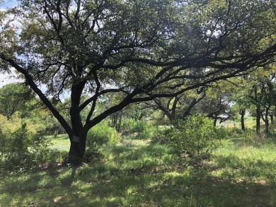 Rare Opportunity: Own an Entire Cul-de-Sac with Spectacular Golf on Ram Rock Golf Course in Texas - for sale on GolfHomes.com, golf home, golf lot
